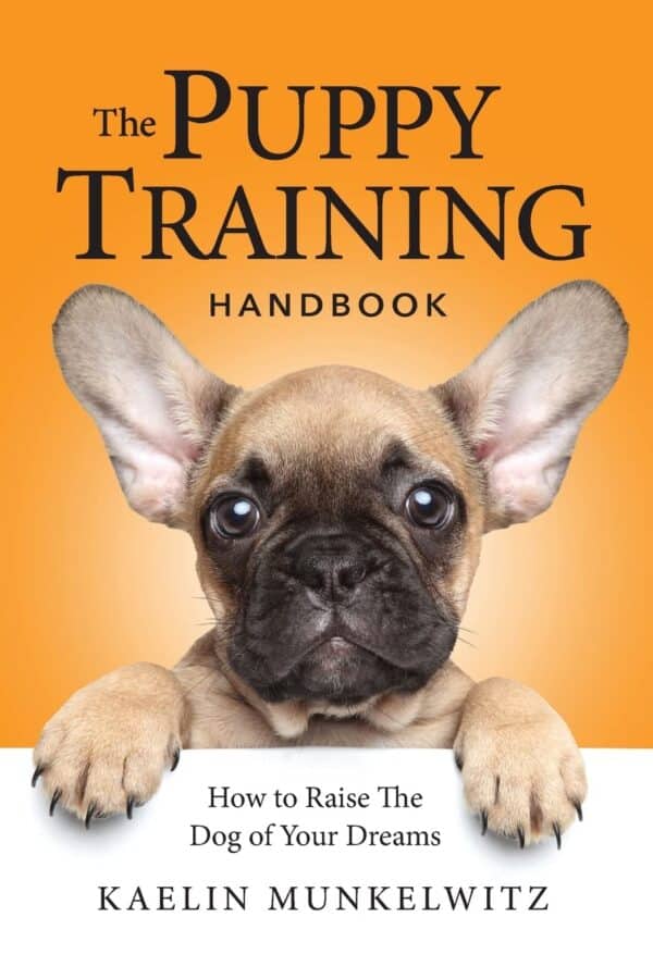 The Puppy Training  61zRTJimw+L_SL1360_