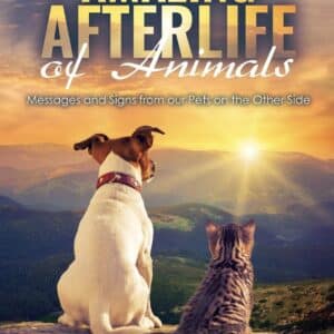 The Amazing Afterlife of Animals  7145dR-wNrL_SL1360_