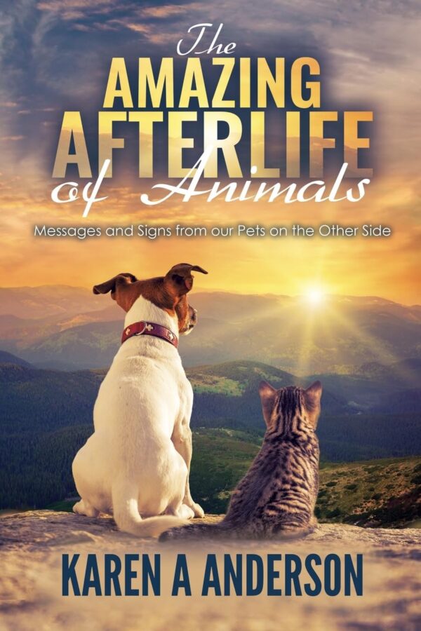 The Amazing Afterlife of Animals  7145dR-wNrL_SL1360_