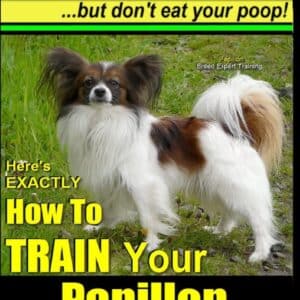 Think Like a Dog, but Don’t Eat Your Poop!  71AI0RQujVL_SL1360_ 1