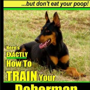 Doberman Pinscher Training AAA AKC: Think Like a Dog, but Don’t Eat Your Poop!  71qF-Kl28SL_SL1360_