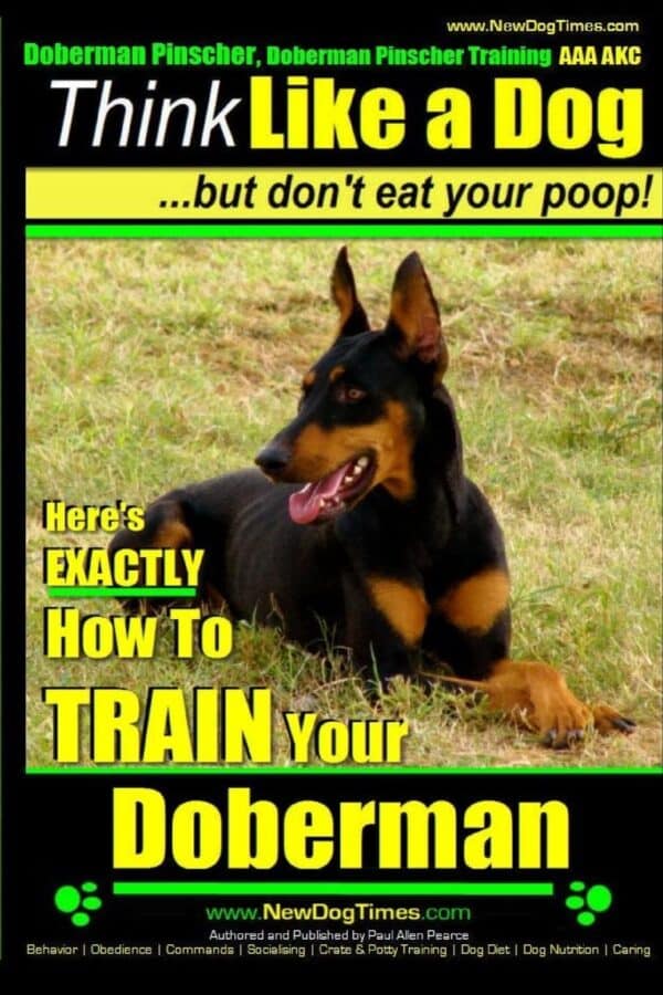 Doberman Pinscher Training AAA AKC: Think Like a Dog, but Don’t Eat Your Poop!  71qF-Kl28SL_SL1360_