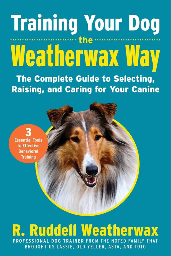 Training Your Dog  71wi4VSEXDL_SL1500_