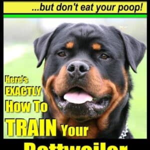 Rottweiler training a: Think Like a Dog, but don't eat your poop!  71x02IPciRL_SL1360_