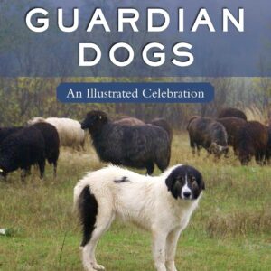 Livestock Guardian Dogs  71yGBkwa24L_SL1500_