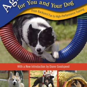 Agility Training  81eDjOK7YqL_SL1500_