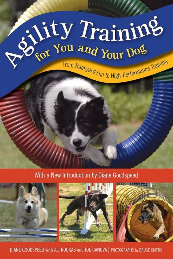 Agility Training  81eDjOK7YqL_SL1500_