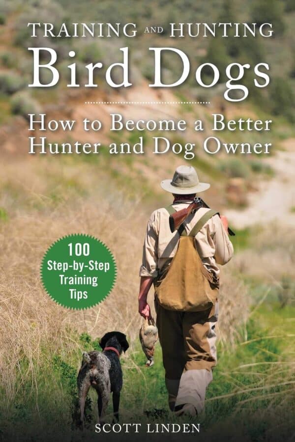 Training and Hunting Bird Dogs  81k3ygZFnlL_SL1500_