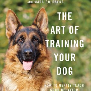 The Art of Training Your Dog