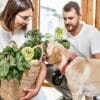 Best Dog Health Supplements for Your Pet's Wellness  Best Dog Health Supplements for Your Pets Wellness