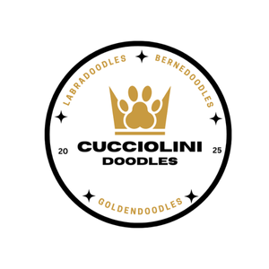   Cucciolini Doodles Logo