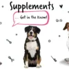 Supplements for Dogs  Best Dog Supplements for Optimal Pet Health