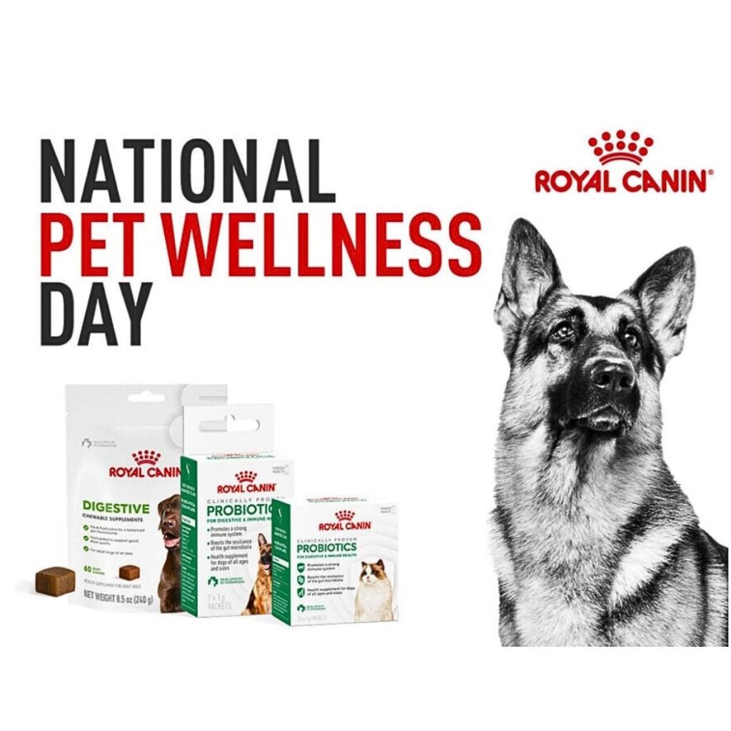   Royal Canin Dog Food and Probiotics