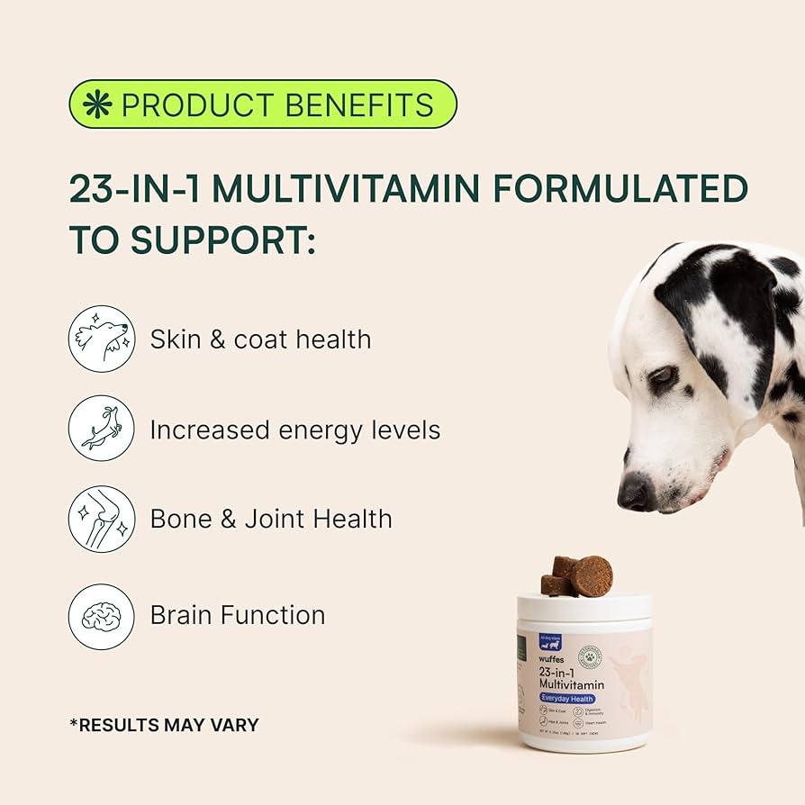   dog supplements