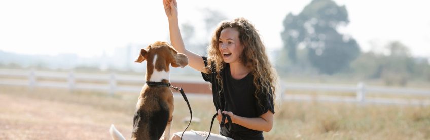 Pawsome tricks to teach your new dog