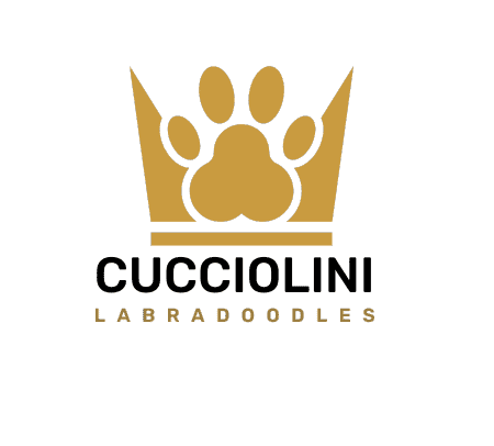 Cucciolini Labradoodles