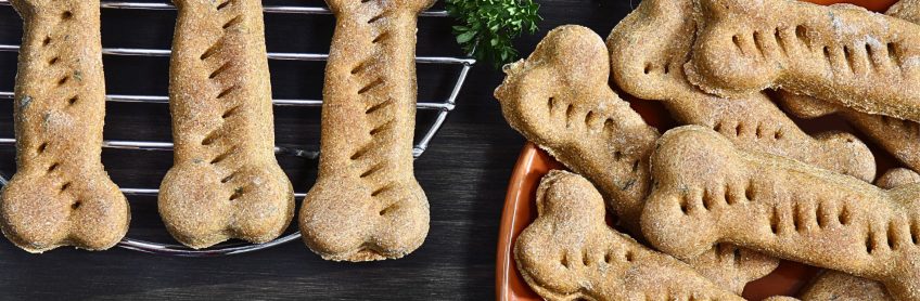 Delicious and Nutritious Dog Biscuits with Pumpkin Recipe
