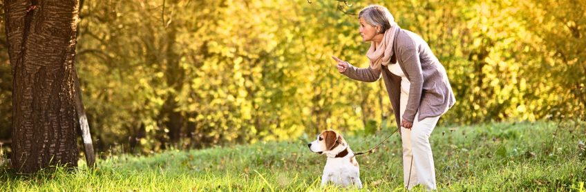 Dog Ownership brings Happiness.