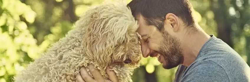 Happiness Dogs Bring to our Lives