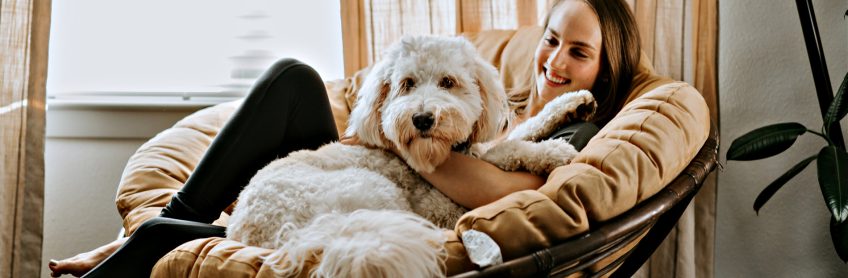 Do Labradoodles Make Good Therapy Dogs