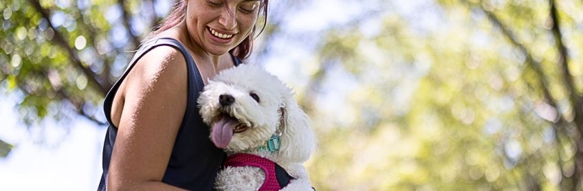 How do labradoodles help children with autism?
