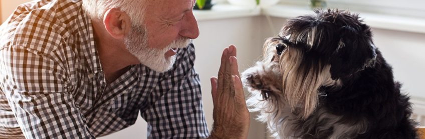How to Improve Your Senior Dog's Quality of Life