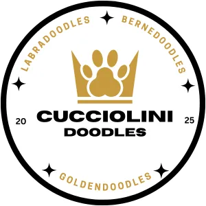 Cucciolini Doodles